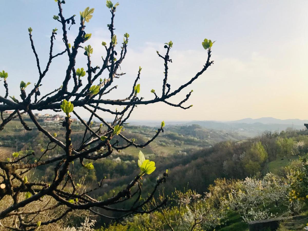 Enam Room Kojsko Bagian luar foto