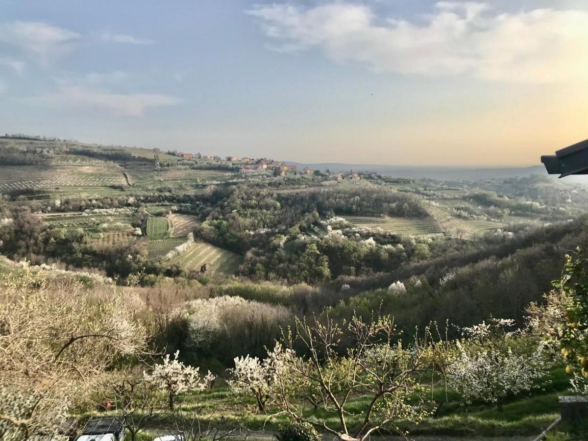 Enam Room Kojsko Bagian luar foto