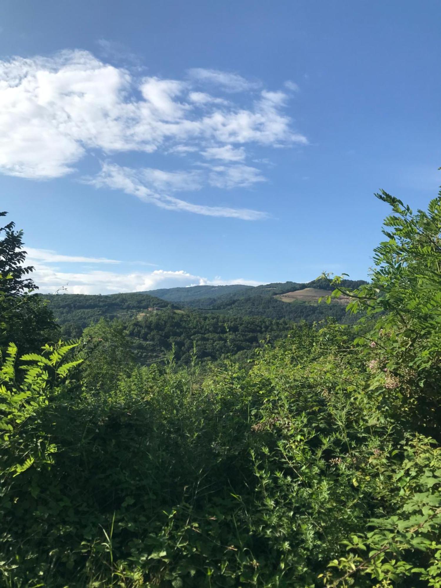 Enam Room Kojsko Bagian luar foto